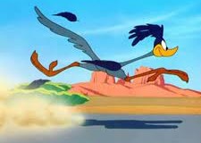 Road Runner Road Runner