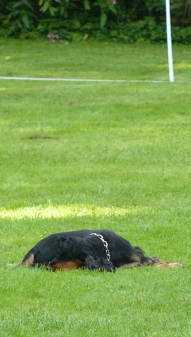 8 Punkte -  8 Punkte -