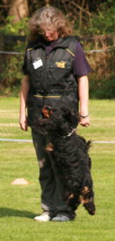 das kostet uns einen halben Punkt das kostet uns einen halben Punkt