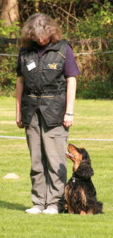 9,5 Punkte - kommen auf Befehl 9,5 Punkte - kommen auf Befehl